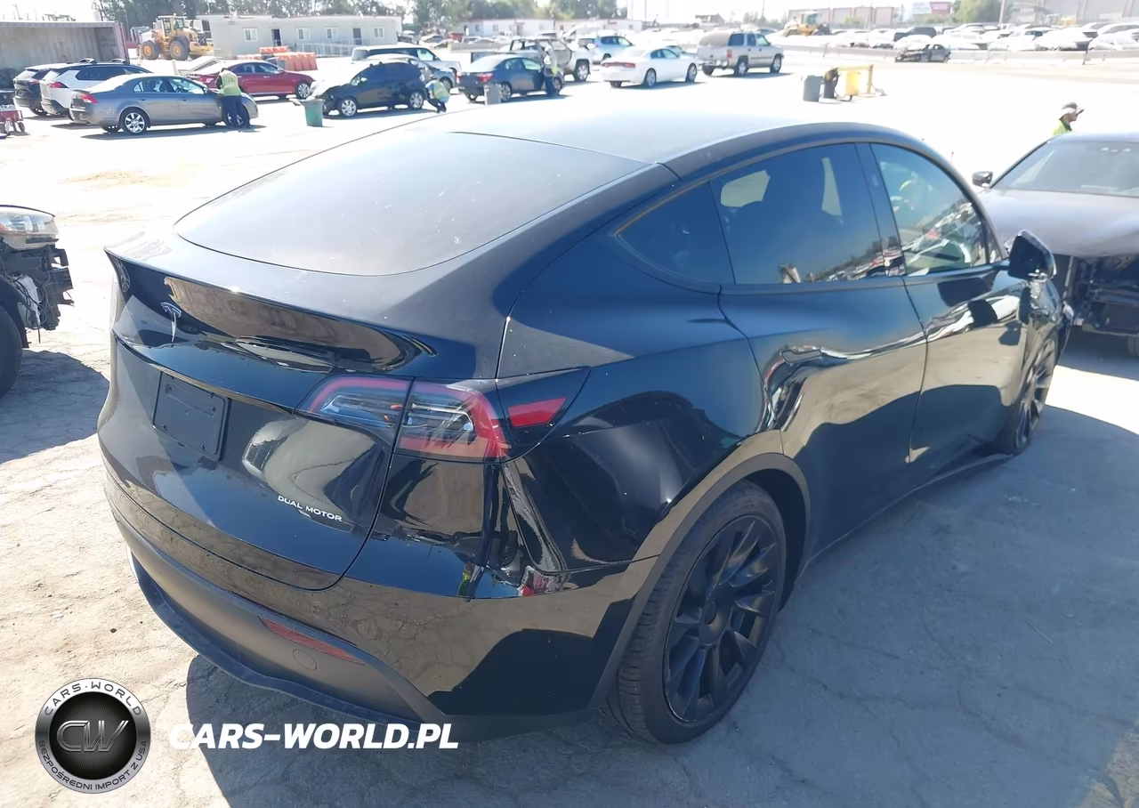 2025 Tesla Model Y Long Range Dual Motor All-Wheel Drive VIN:7SAYGDEE6SF299530 - 4