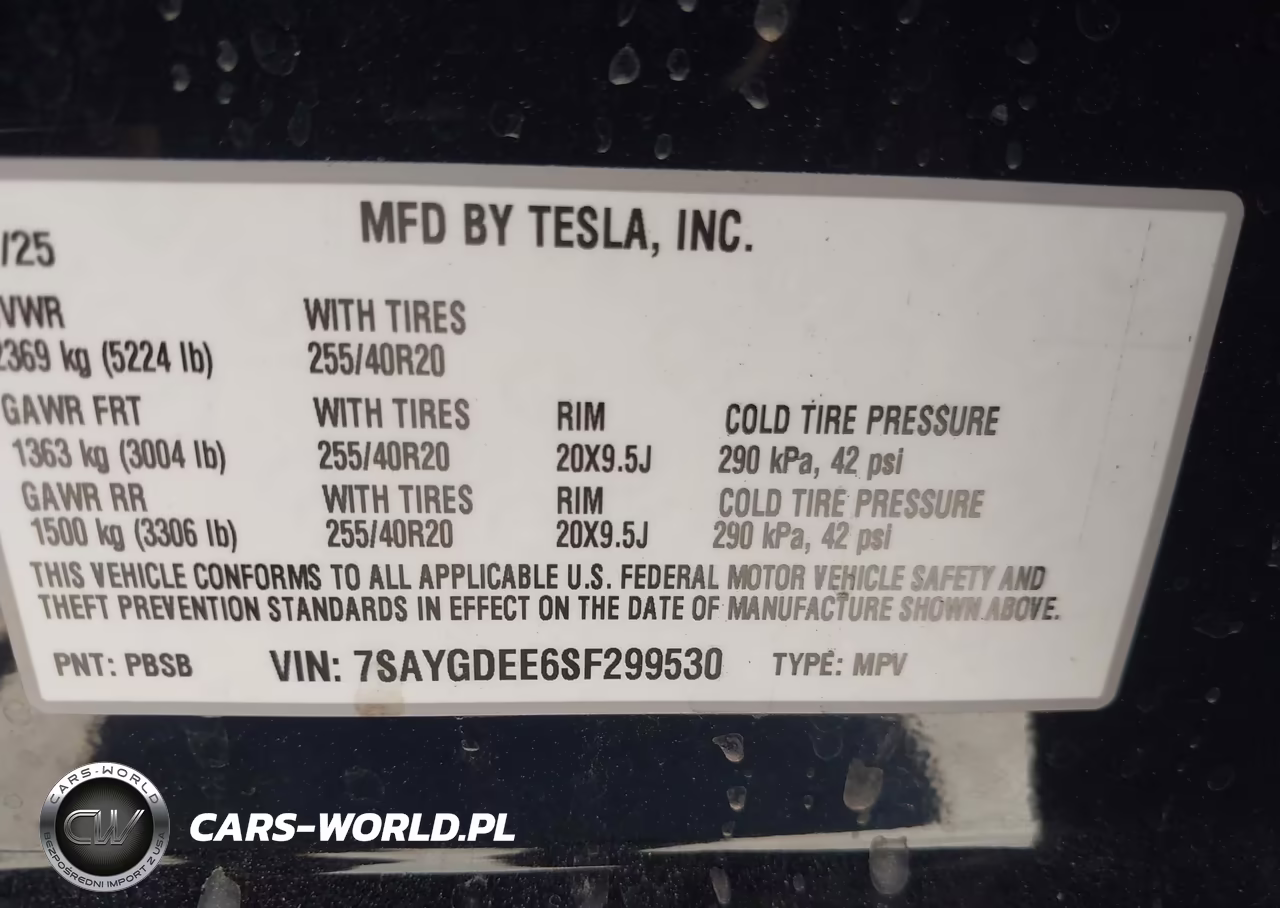 2025 Tesla Model Y Long Range Dual Motor All-Wheel Drive VIN:7SAYGDEE6SF299530 - 9