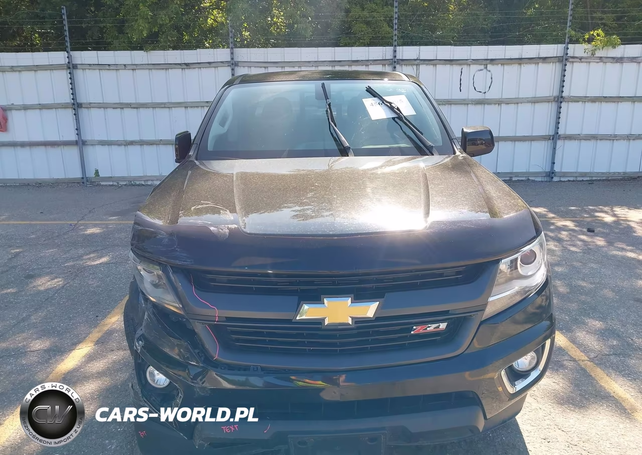 2016 Chevrolet Colorado 4Wd Z71 VIN:1GCGTDE39G1113935 - 12
