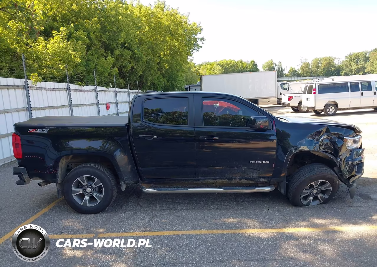 2016 Chevrolet Colorado 4Wd Z71 VIN:1GCGTDE39G1113935 - 13