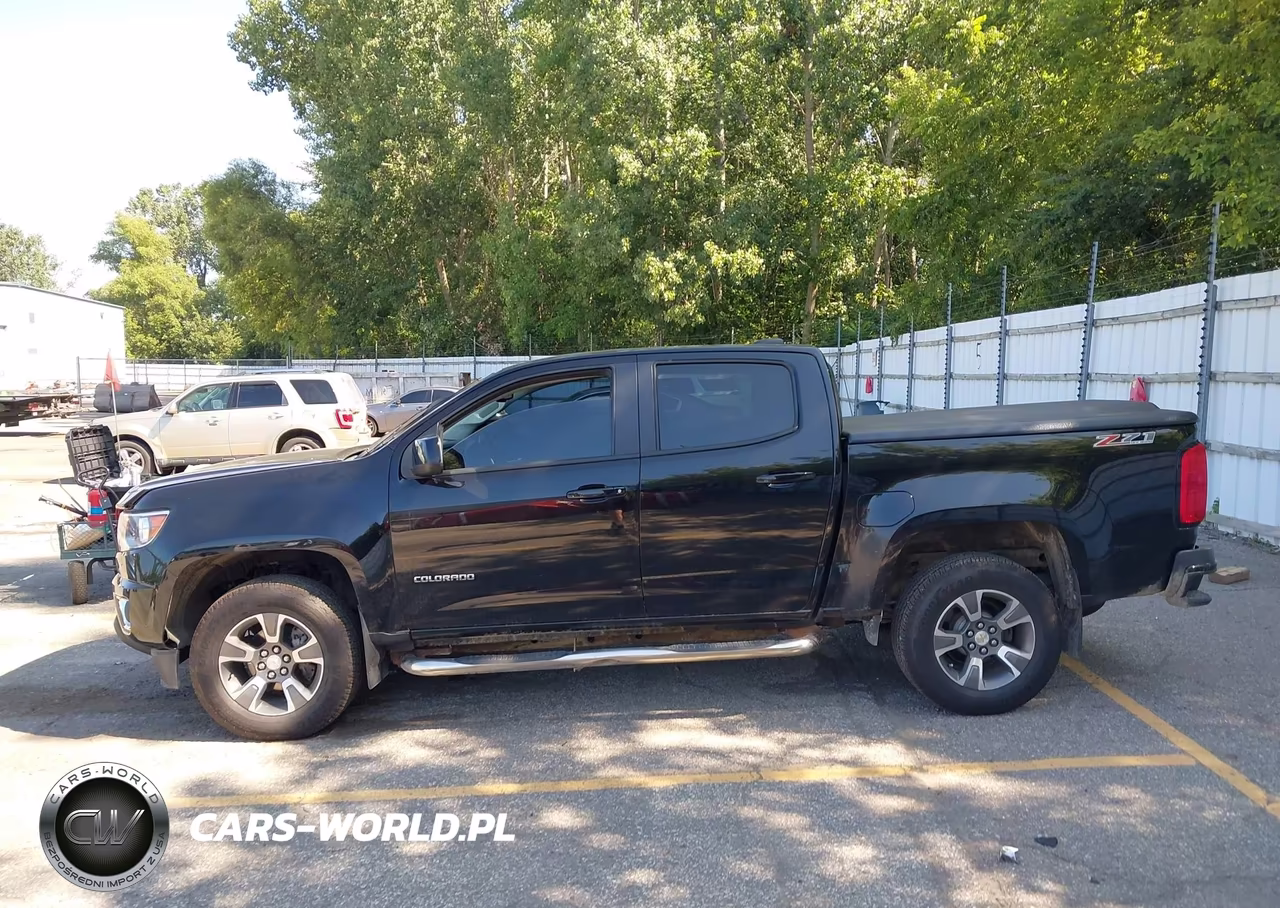 2016 Chevrolet Colorado 4Wd Z71 VIN:1GCGTDE39G1113935 - 14