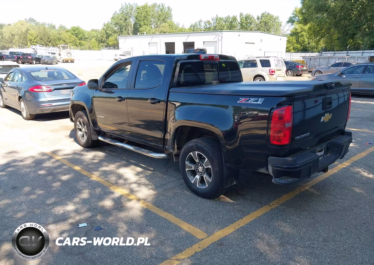 2016 Chevrolet Colorado 4Wd Z71 VIN:1GCGTDE39G1113935 - 3