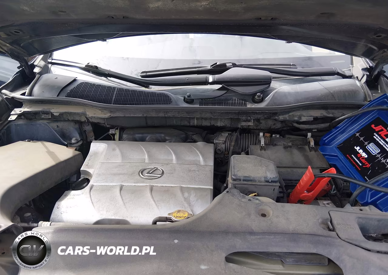 2010 Lexus Rx 350 VIN:2T2BK1BA7AC013247 - 10