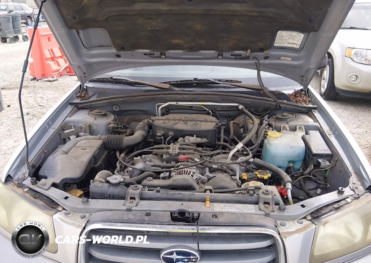 2003 Subaru Forester Xs VIN:JF1SG65693H724088 - 10