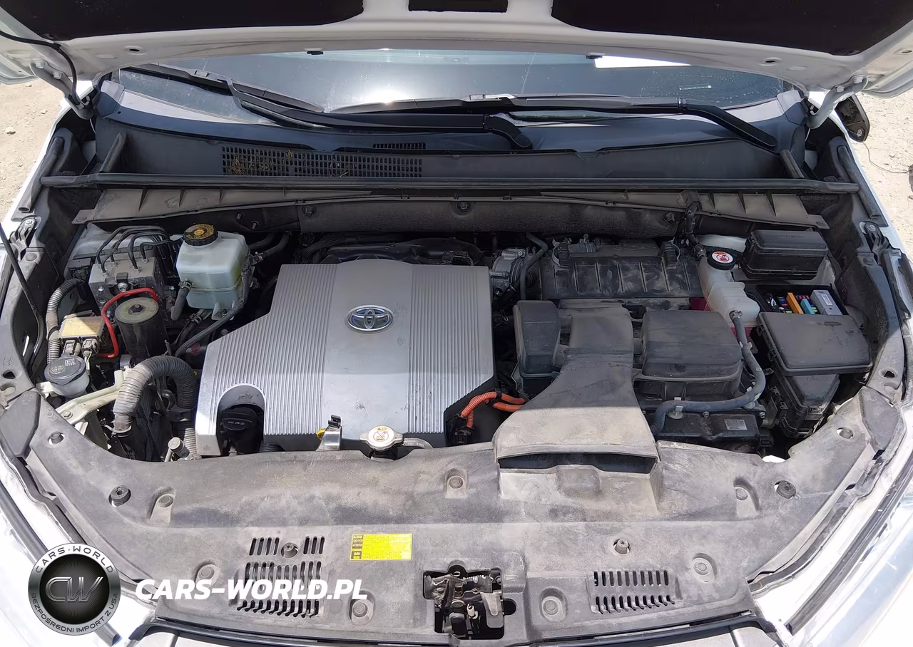 2019 Toyota Highlander Hybrid Xle VIN:5TDJGRFH6KS059510 - 10