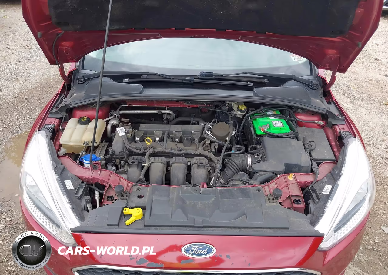 2016 Ford Focus Se VIN:1FADP3F22GL227230 - 10