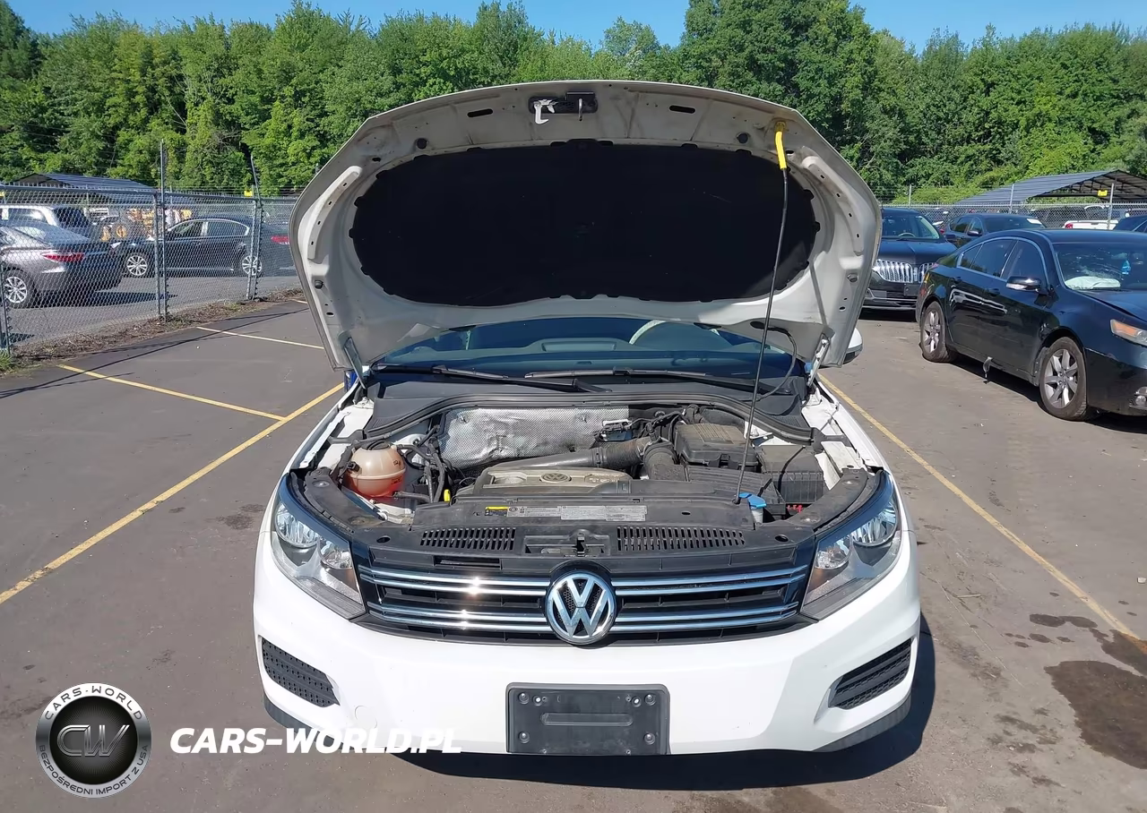 2017 Volkswagen Tiguan 2.0T-2.0T S VIN:WVGBV7AX4HK031942 - 10