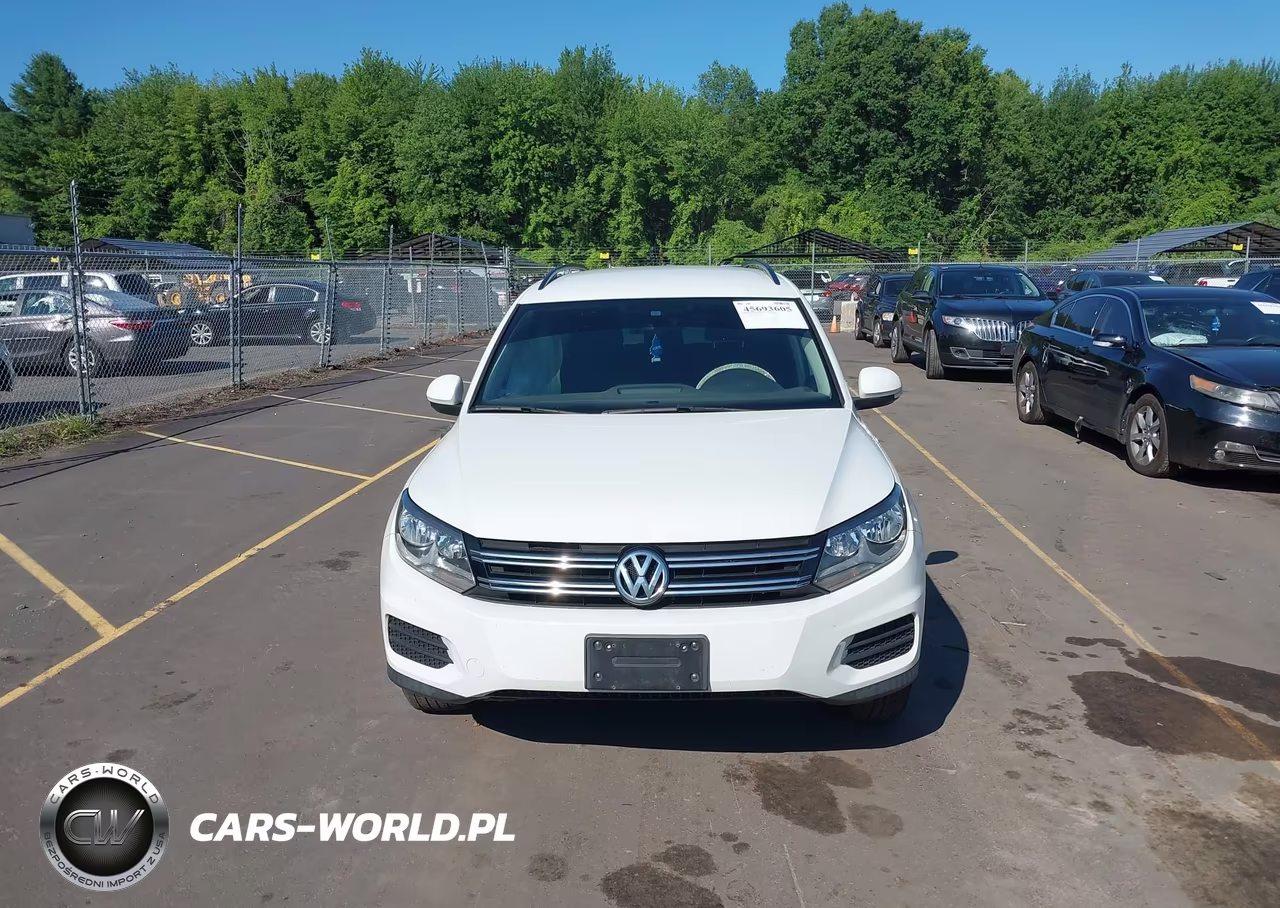 2017 Volkswagen Tiguan 2.0T-2.0T S VIN:WVGBV7AX4HK031942 - 12