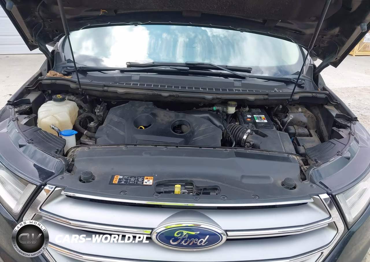 2016 Ford Edge Sel VIN:2FMPK3J97GBB09583 - 10