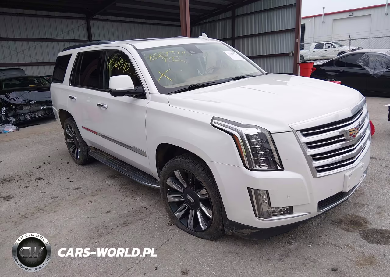 2016 Cadillac Escalade Platinum VIN:1GYS4DKJ2GR269630 - 1