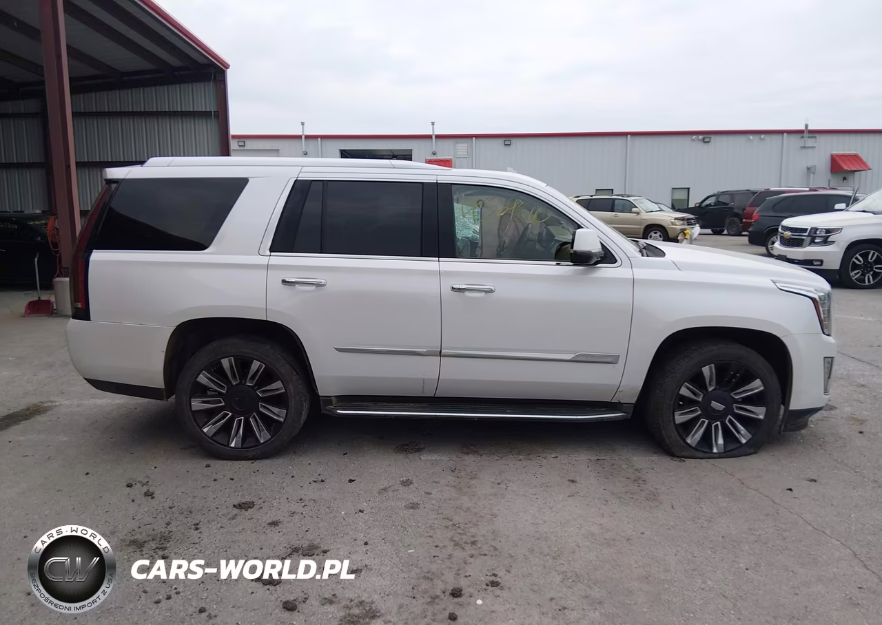 2016 Cadillac Escalade Platinum VIN:1GYS4DKJ2GR269630 - 14