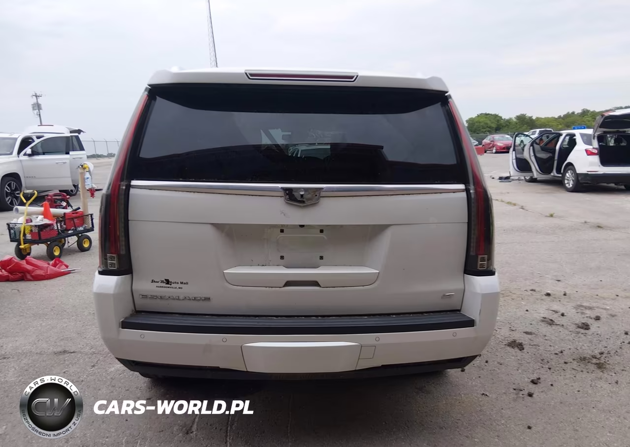 2016 Cadillac Escalade Platinum VIN:1GYS4DKJ2GR269630 - 17