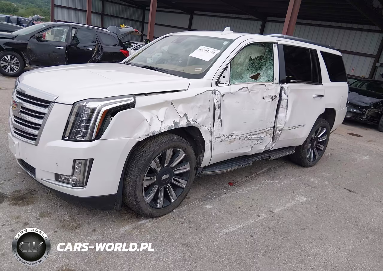 2016 Cadillac Escalade Platinum VIN:1GYS4DKJ2GR269630 - 2