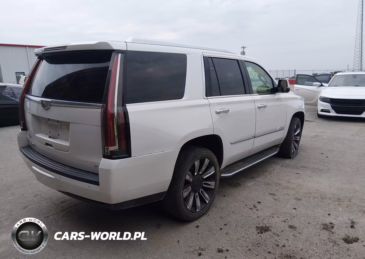2016 Cadillac Escalade Platinum VIN:1GYS4DKJ2GR269630 - 4