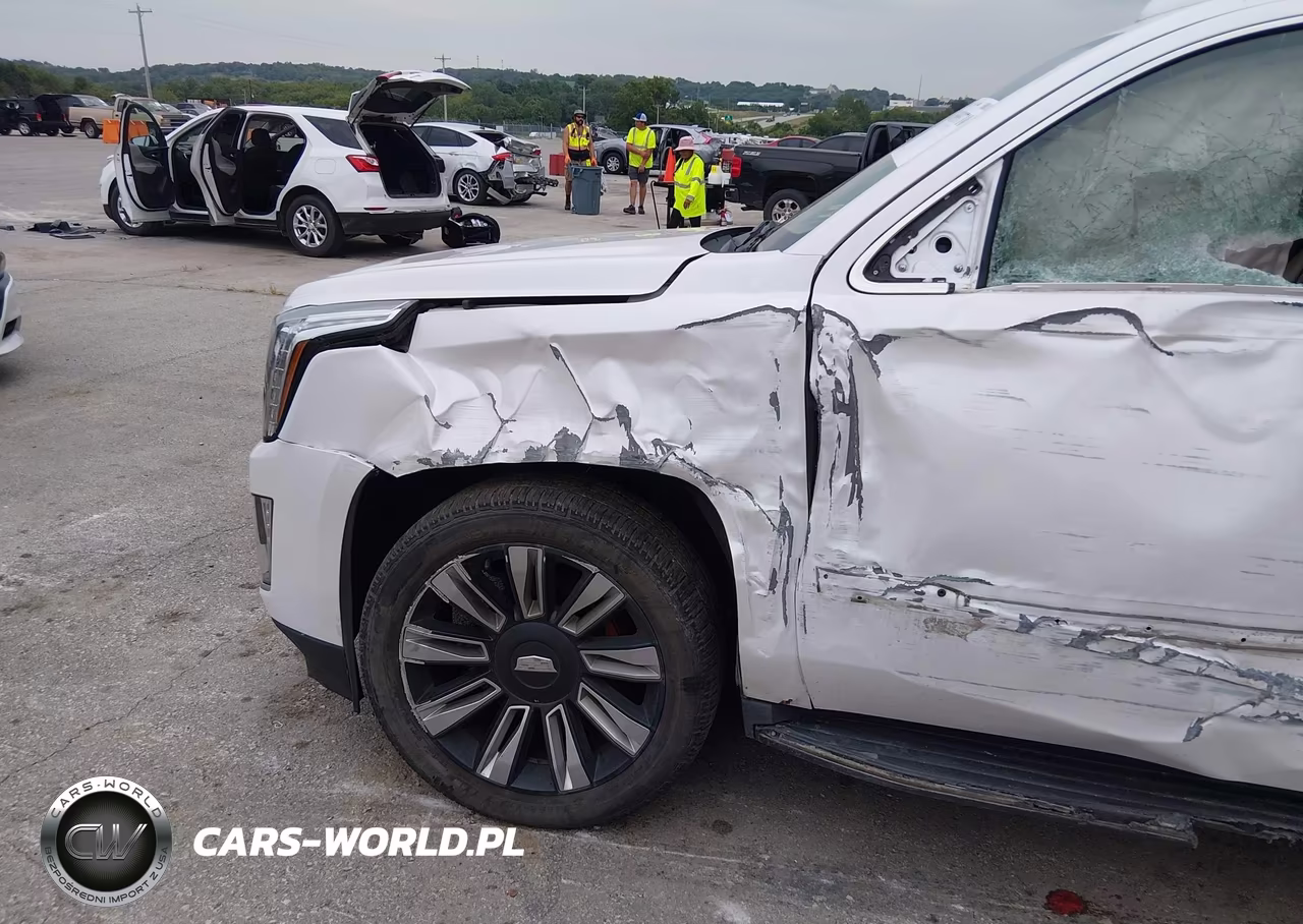 2016 Cadillac Escalade Platinum VIN:1GYS4DKJ2GR269630 - 6