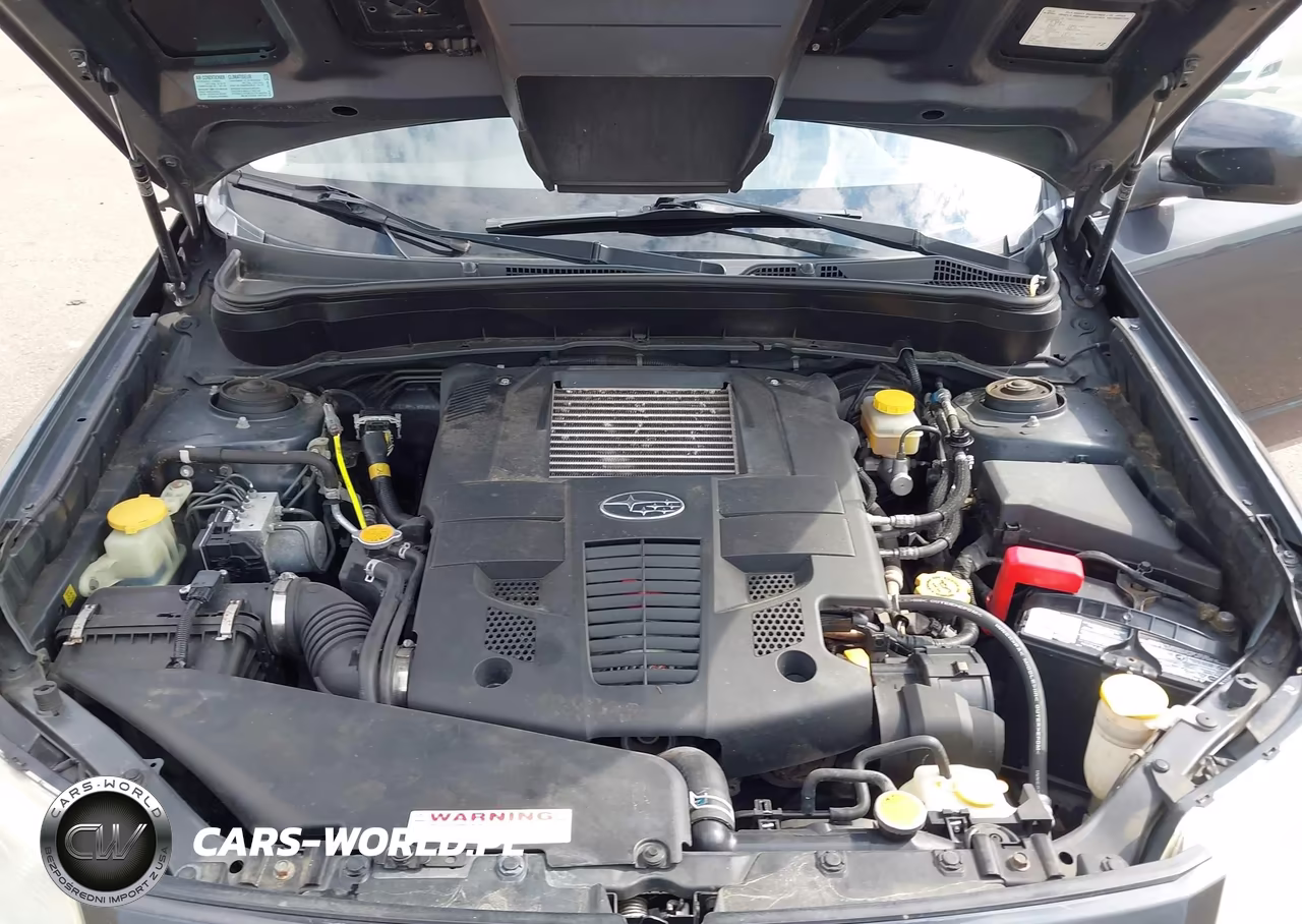 2009 Subaru Forester VIN:1F2SH66689H722218 - 10