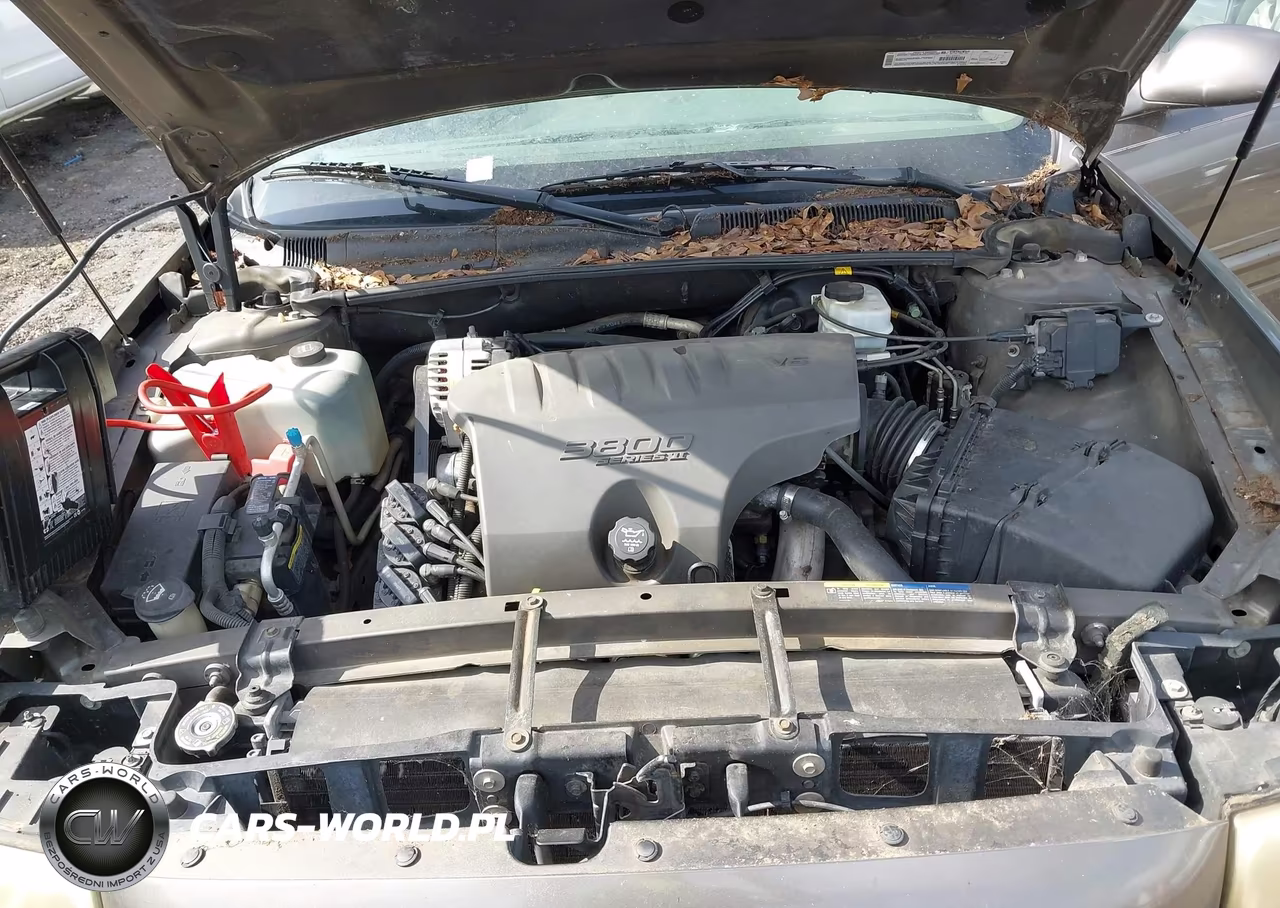 2003 Buick Lesabre Custom VIN:1G4HP52K53U163021 - 10