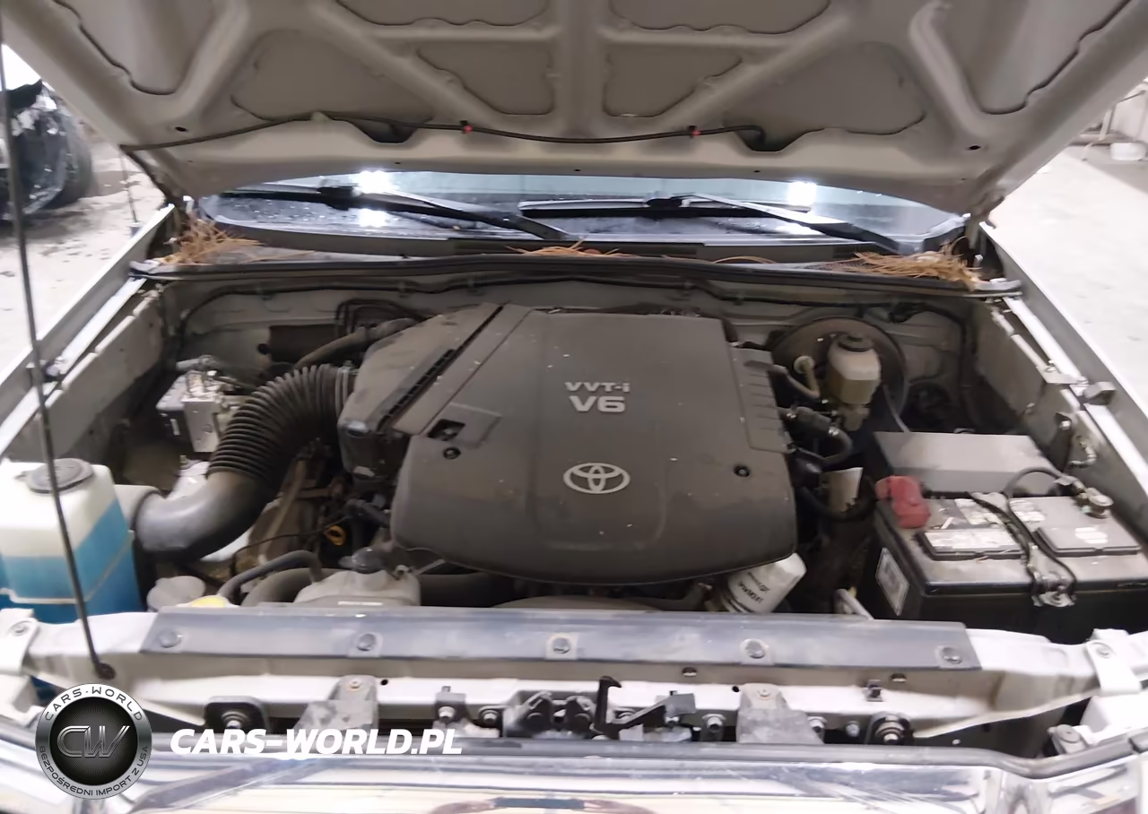 2006 Toyota Tacoma Prerunner V6 VIN:5TETU62N46Z293651 - 10