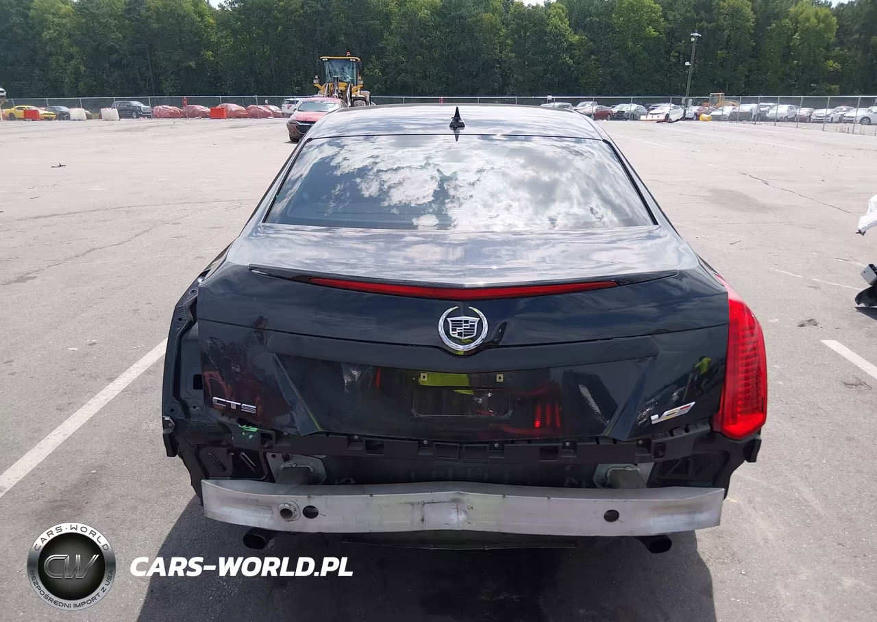 2014 Cadillac Cts Standard VIN:1G6AP5SXXE0123290 - 17