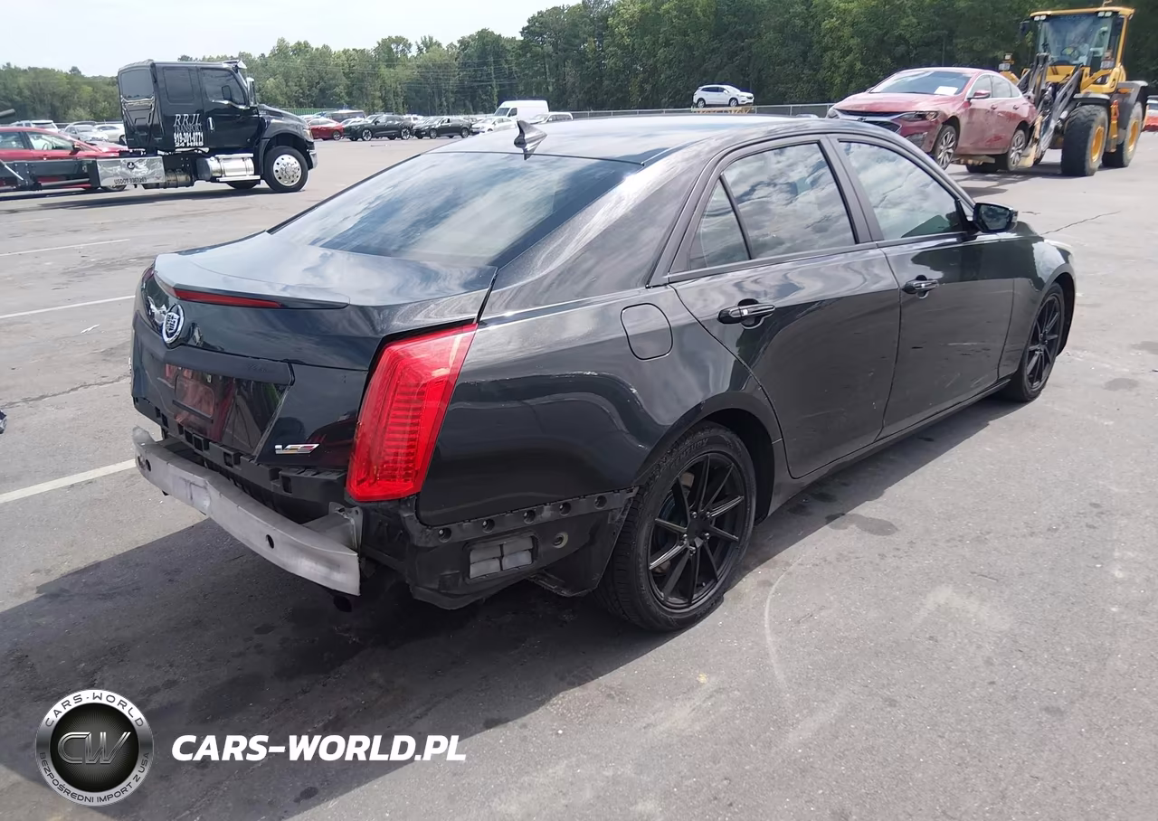 2014 Cadillac Cts Standard VIN:1G6AP5SXXE0123290 - 4