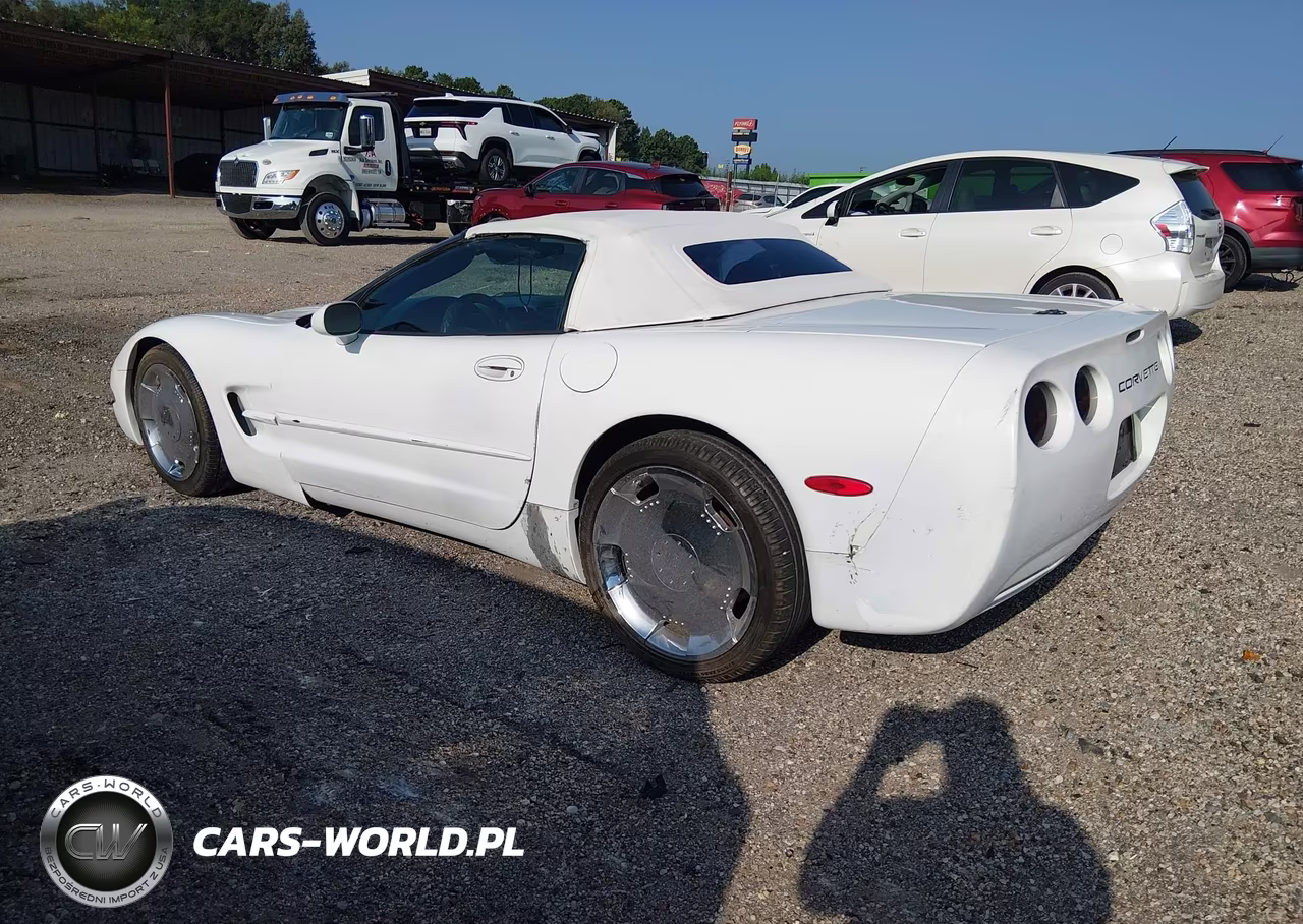 2004 Chevrolet Corvette VIN:1G1YY32G645122547 - 3