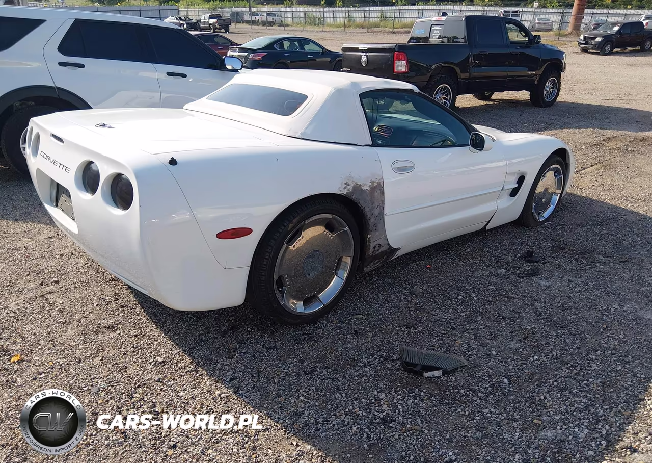 2004 Chevrolet Corvette VIN:1G1YY32G645122547 - 4