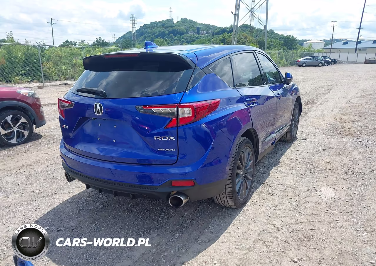 2022 Acura Rdx A-Spec Advance Package-Pmc Edition VIN:5J8TC2H8XNL012352 - 4