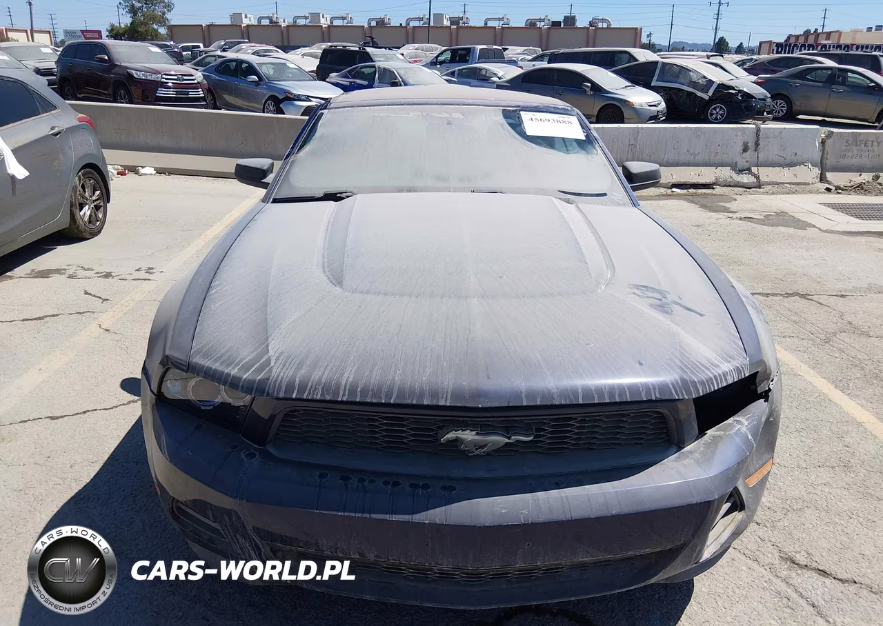 2012 Ford Mustang V6 Premium VIN:1ZVBP8EM6C5230483 - 12