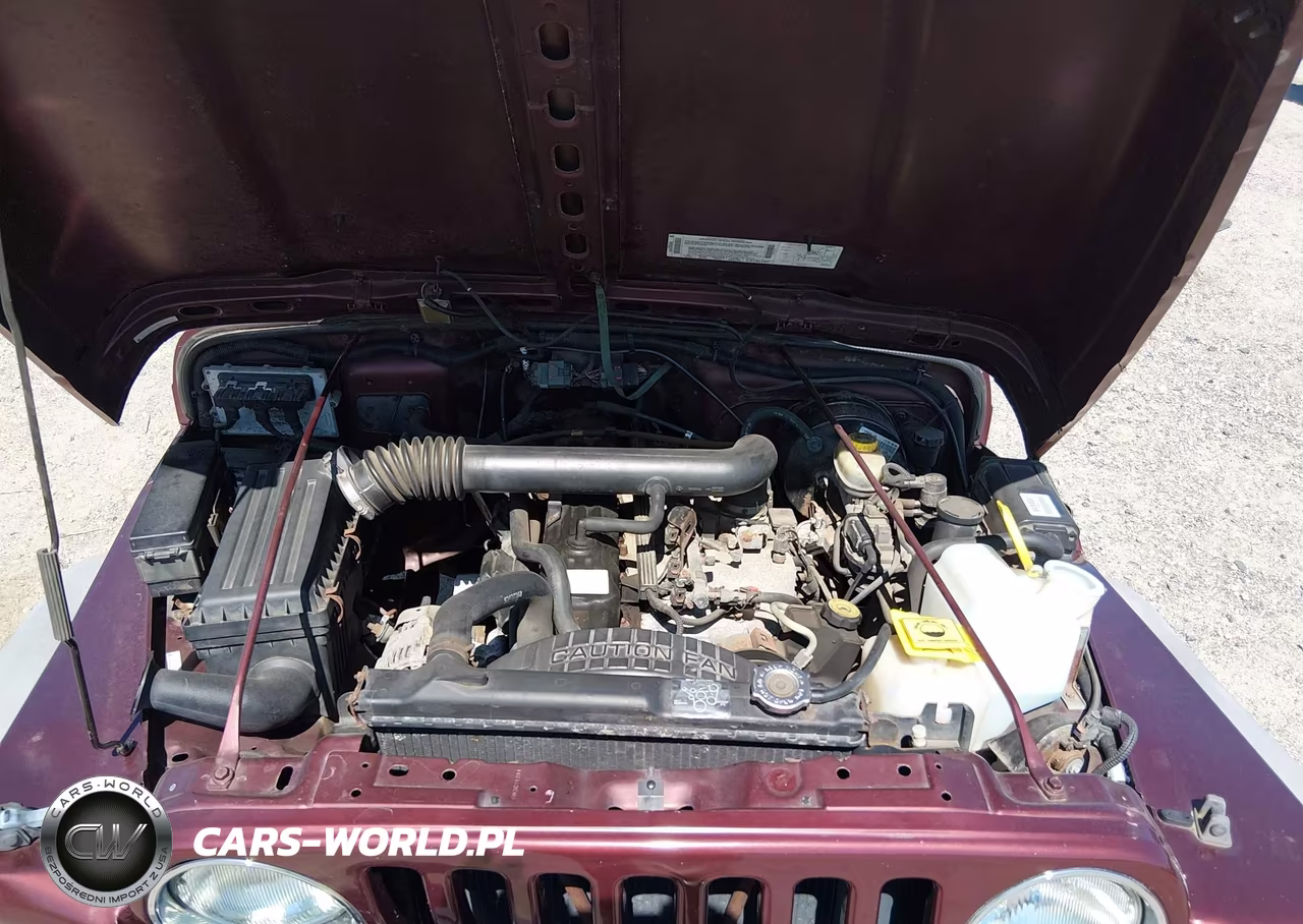 2002 Jeep Wrangler X VIN:1J4FA39S42P715932 - 10