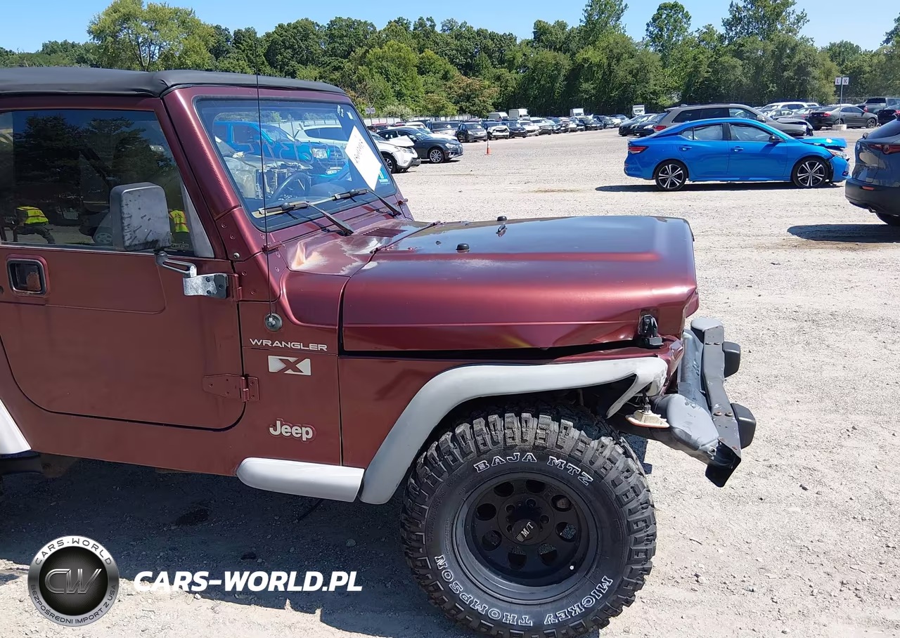 2002 Jeep Wrangler X VIN:1J4FA39S42P715932 - 12