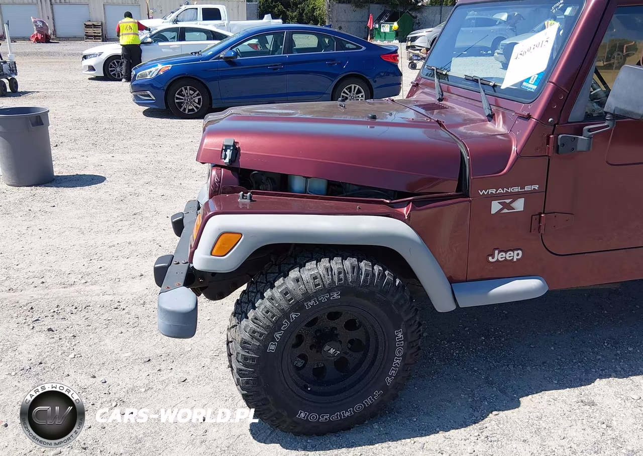 2002 Jeep Wrangler X VIN:1J4FA39S42P715932 - 13