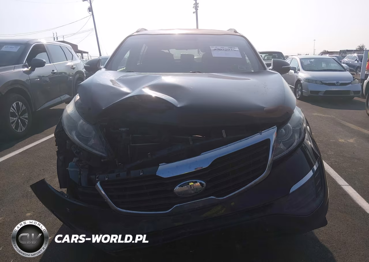 2013 Kia Sportage Lx VIN:KNDPB3A28D7510619 - 12
