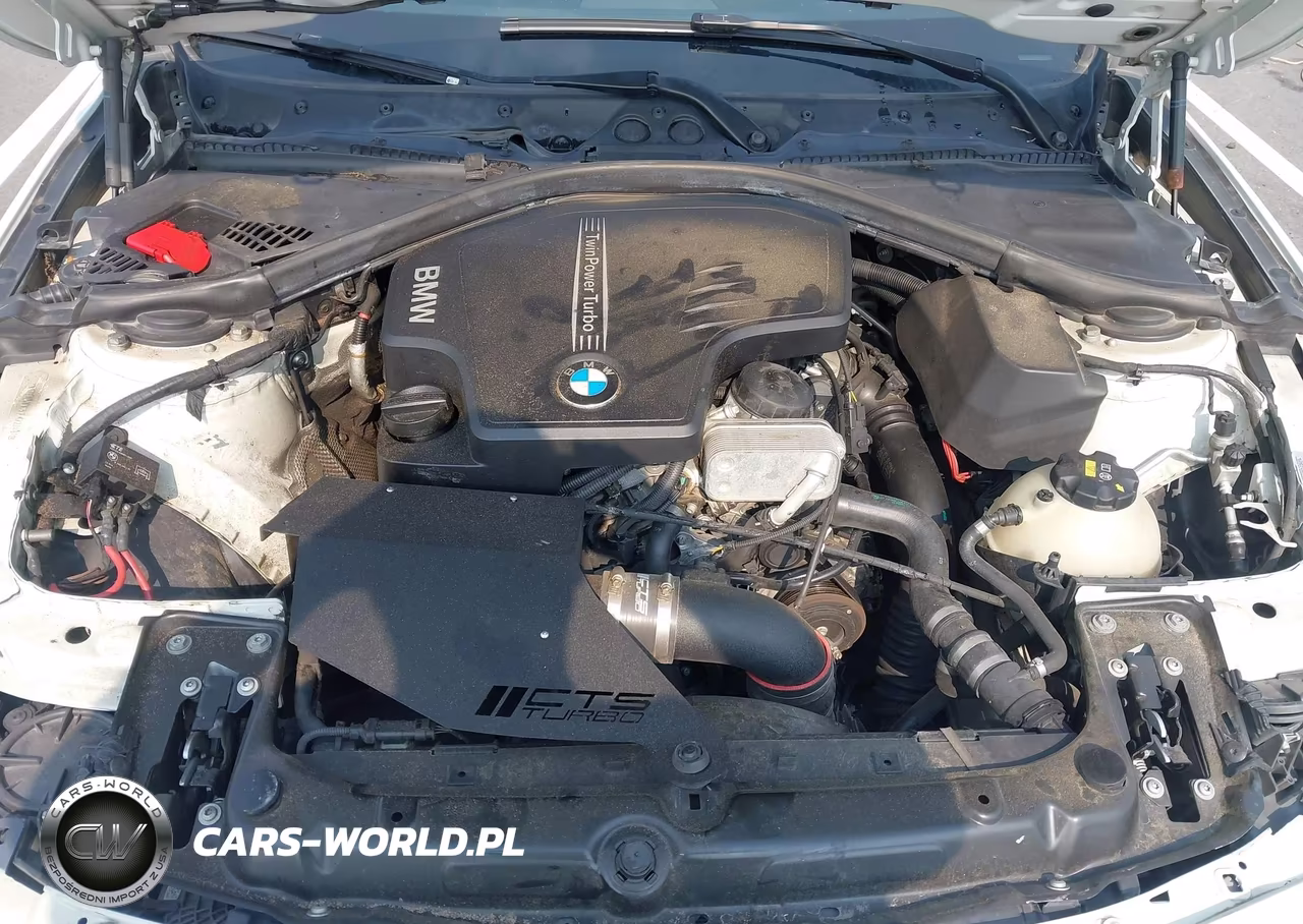 2015 BMW 428I VIN:WBA3N7C51FK222491 - 10