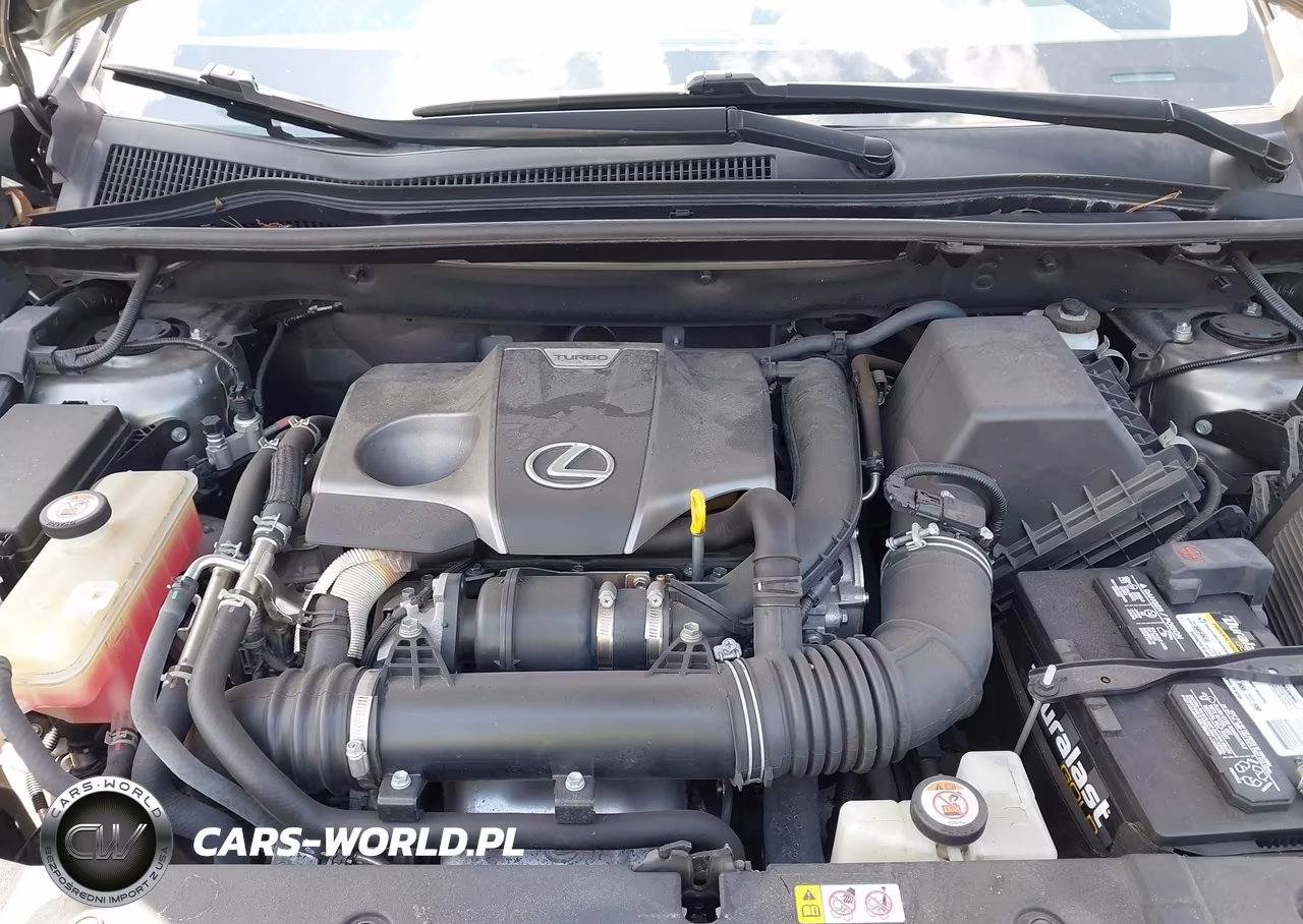 2021 Lexus Nx 300 VIN:JTJDARBZ0M2185494 - 10
