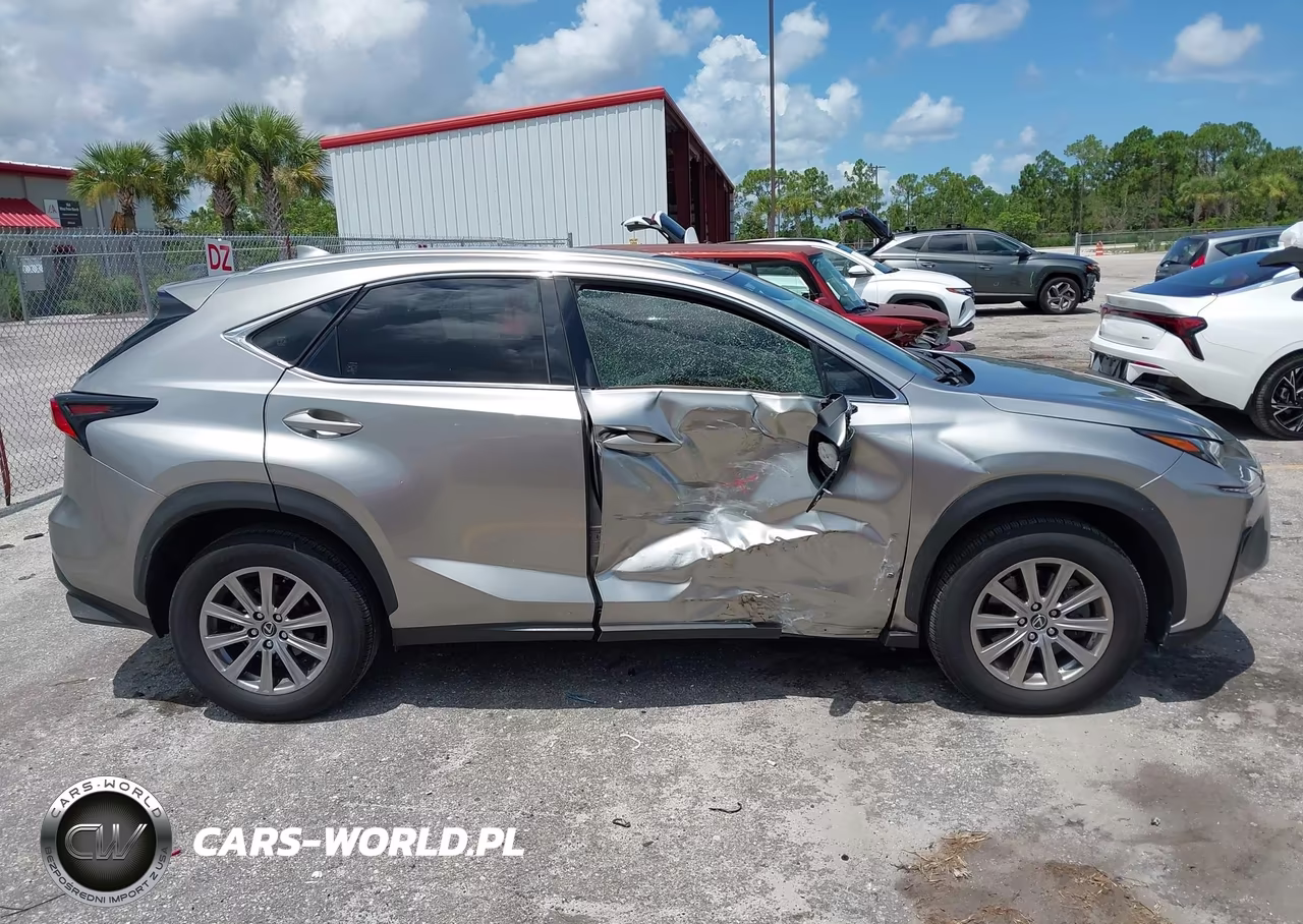 2021 Lexus Nx 300 VIN:JTJDARBZ0M2185494 - 13