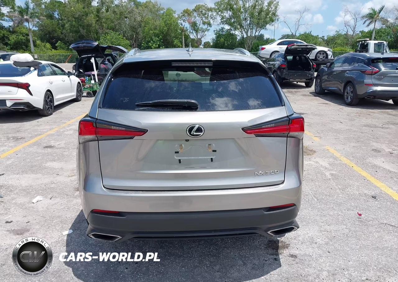 2021 Lexus Nx 300 VIN:JTJDARBZ0M2185494 - 16