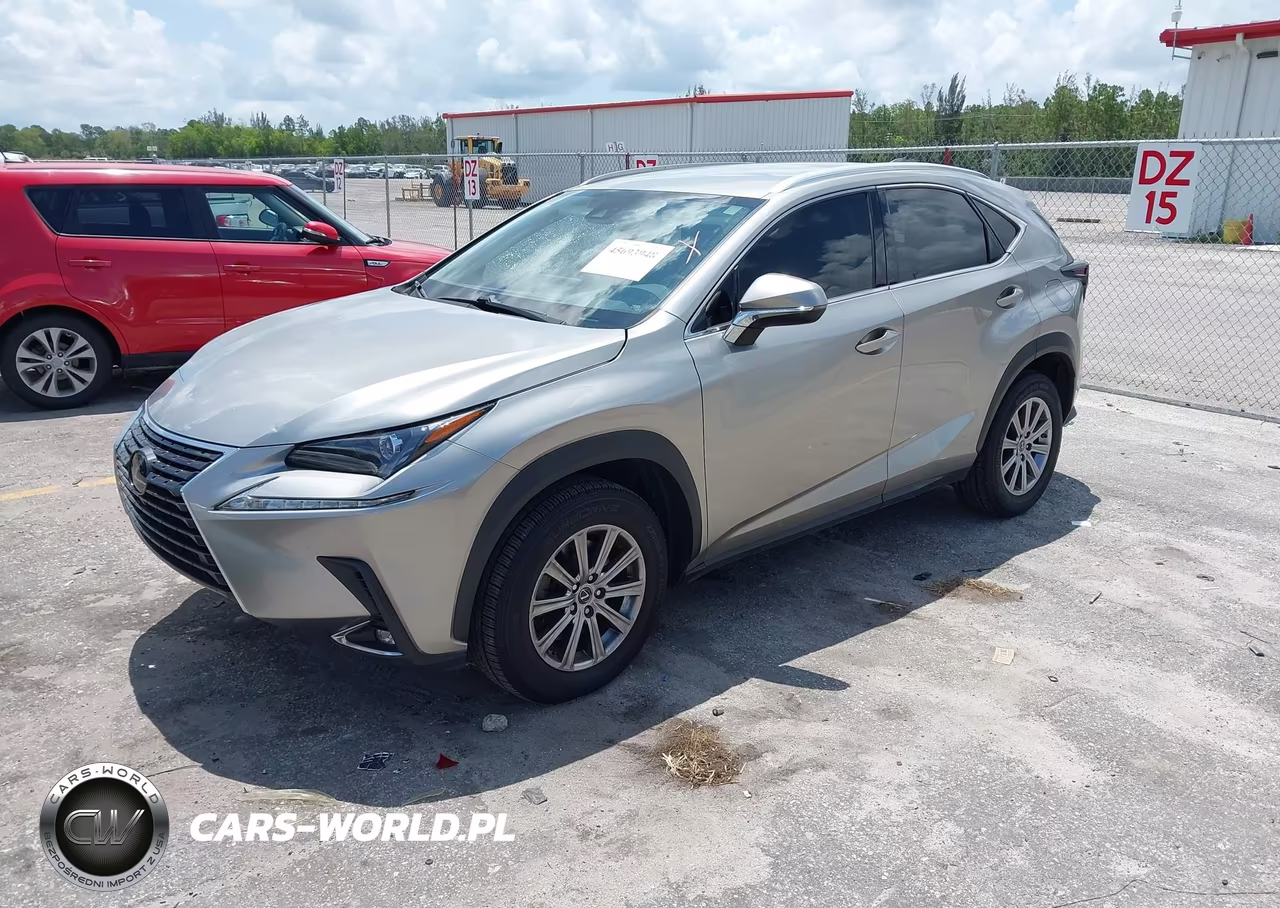 2021 Lexus Nx 300 VIN:JTJDARBZ0M2185494 - 2
