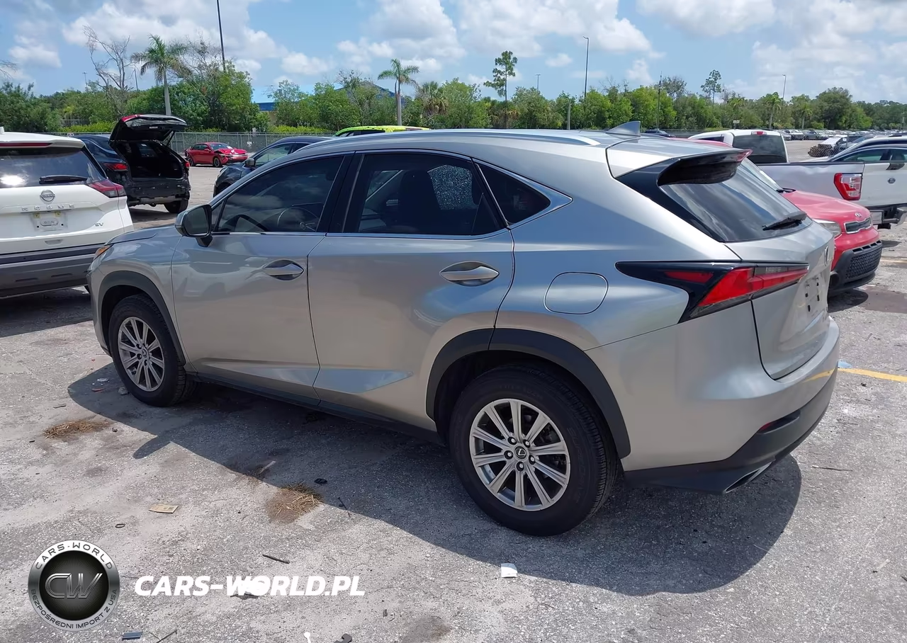 2021 Lexus Nx 300 VIN:JTJDARBZ0M2185494 - 3