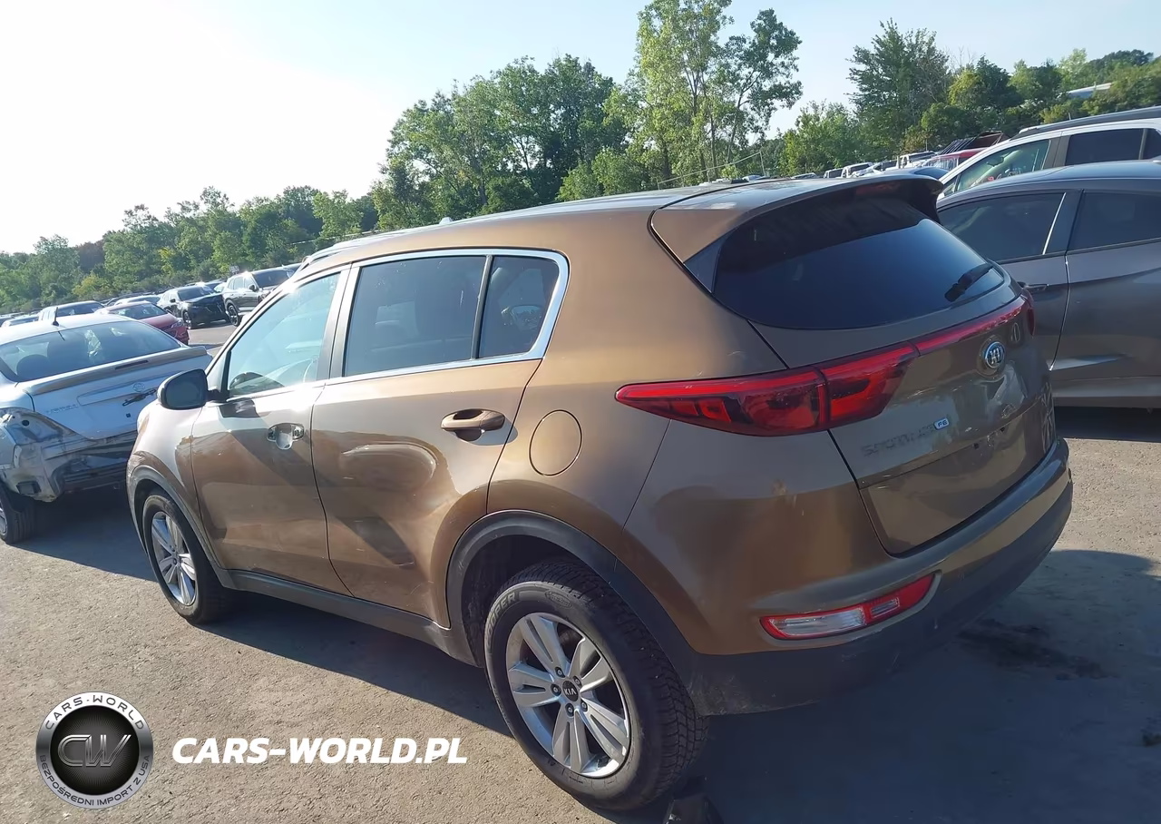 2017 Kia Sportage Lx VIN:KNDPM3AC6H7108039 - 3