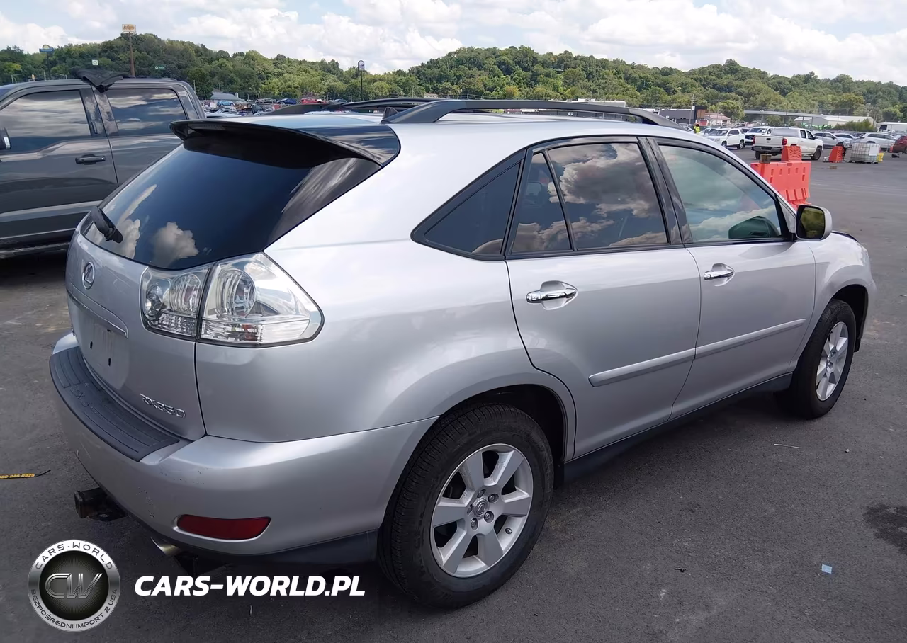 2009 Lexus Rx 350 VIN:2T2HK31U49C098173 - 4