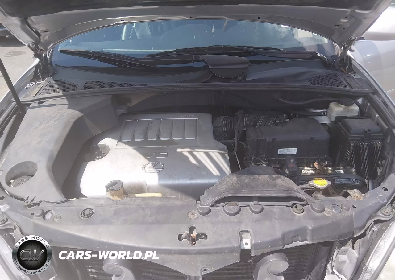 2009 Lexus Rx 350 VIN:2T2HK31U49C098173 - 9