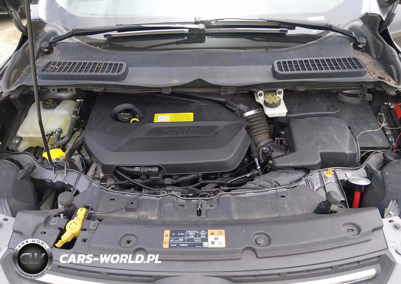 2014 Ford Escape Se VIN:1FMCU9GX7EUC15850 - 10