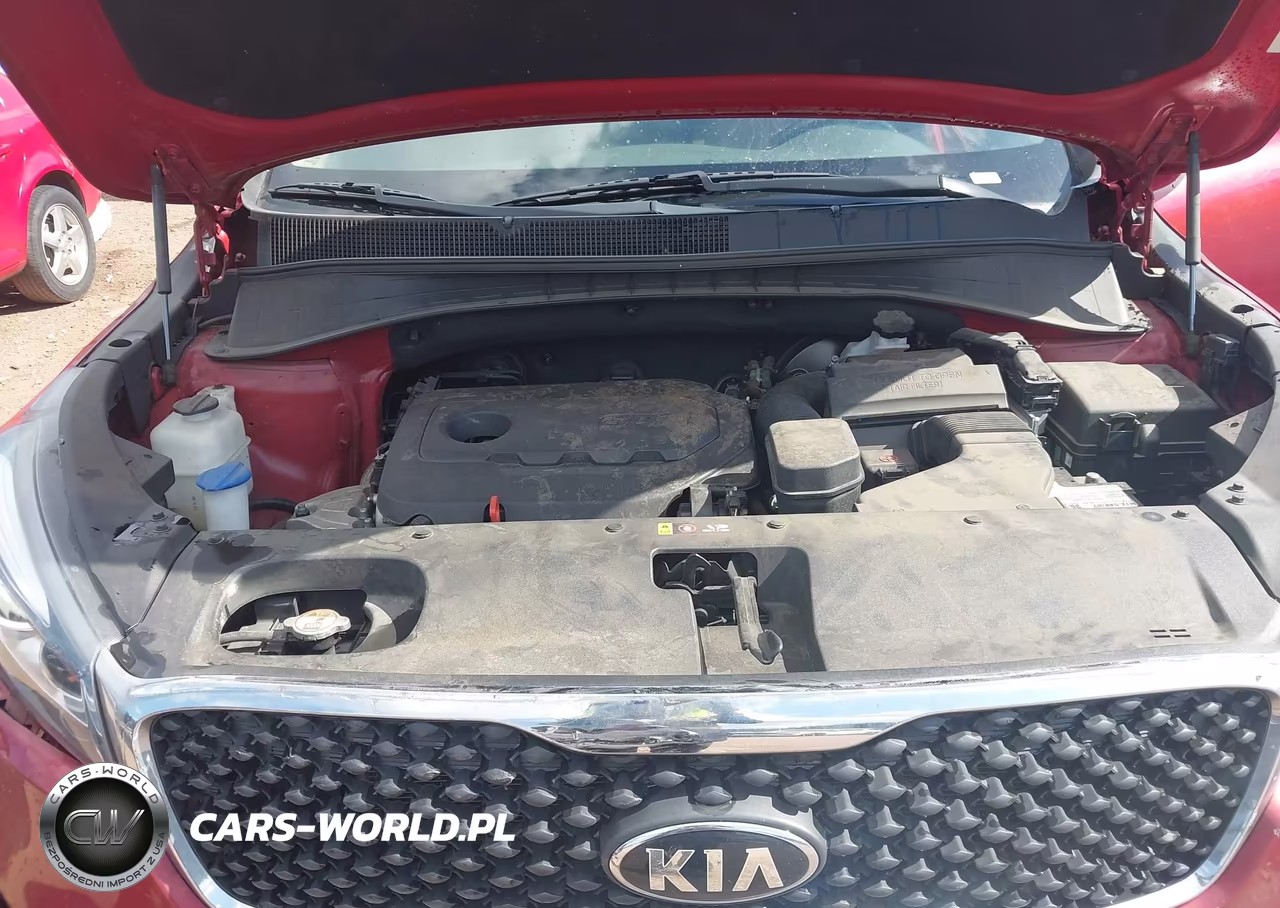 2016 Kia Sorento 2.4L Lx VIN:5XYPG4A37GG161962 - 10