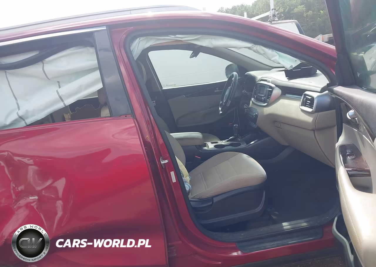 2016 Kia Sorento 2.4L Lx VIN:5XYPG4A37GG161962 - 5