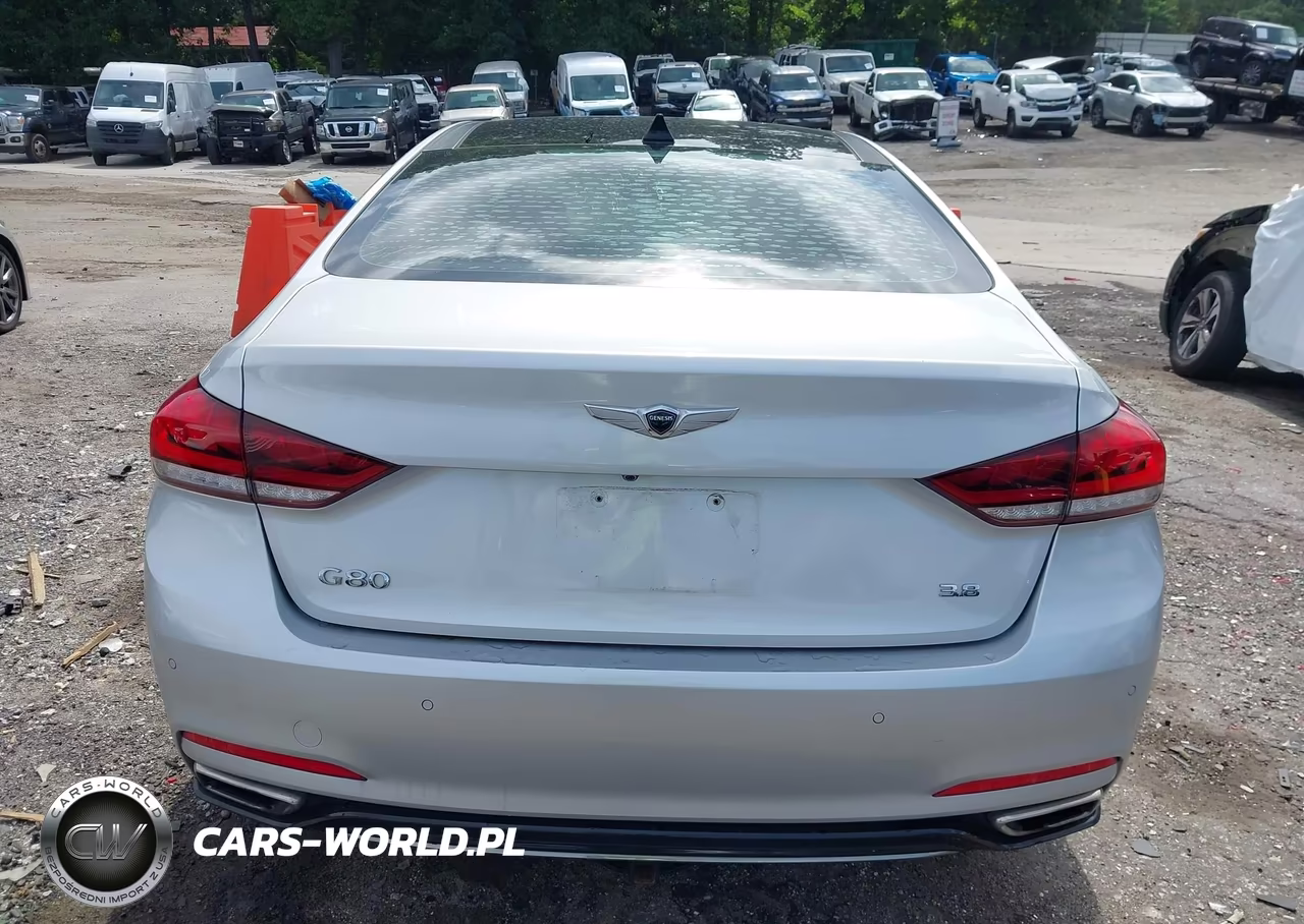 2018 Genesis G80 3.8 VIN:KMHGN4JE0JU264469 - 16
