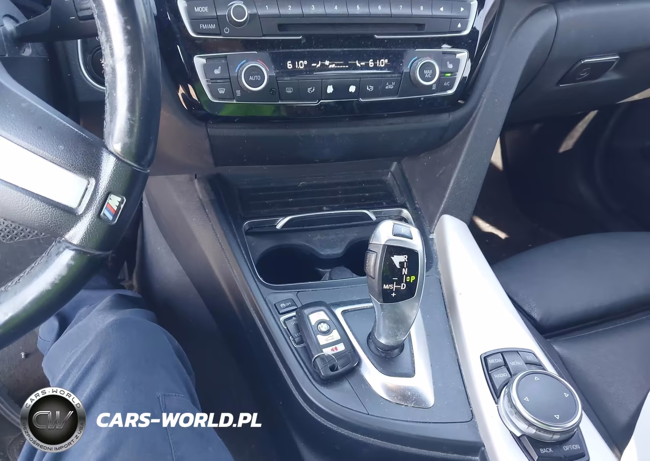 2016 BMW 320I VIN:WBA8A9C50GK616403 - 11