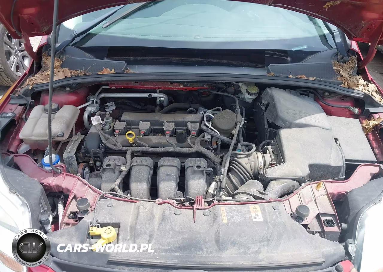 2014 Ford Focus Se VIN:1FADP3F28EL401878 - 10