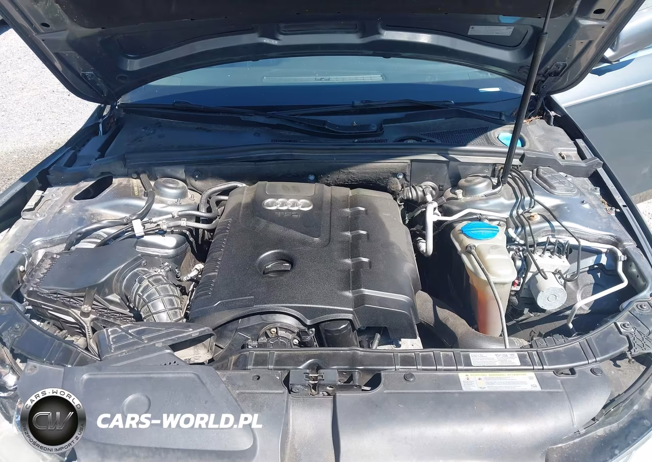 2013 Audi A4 2.0T Premium VIN:WAUBFAFLXDN036704 - 10