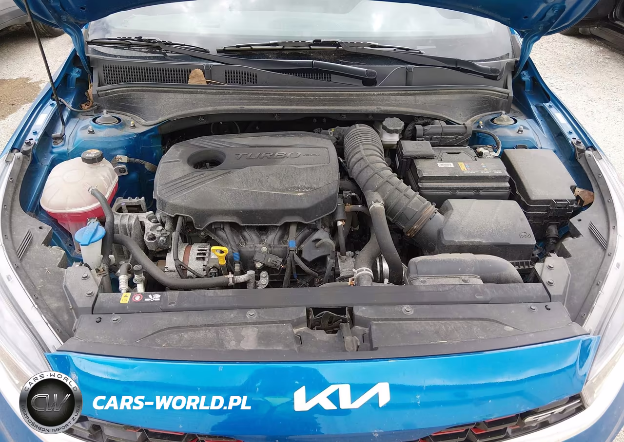 2023 Kia Forte Gt VIN:3KPF44AC9PE548367 - 10