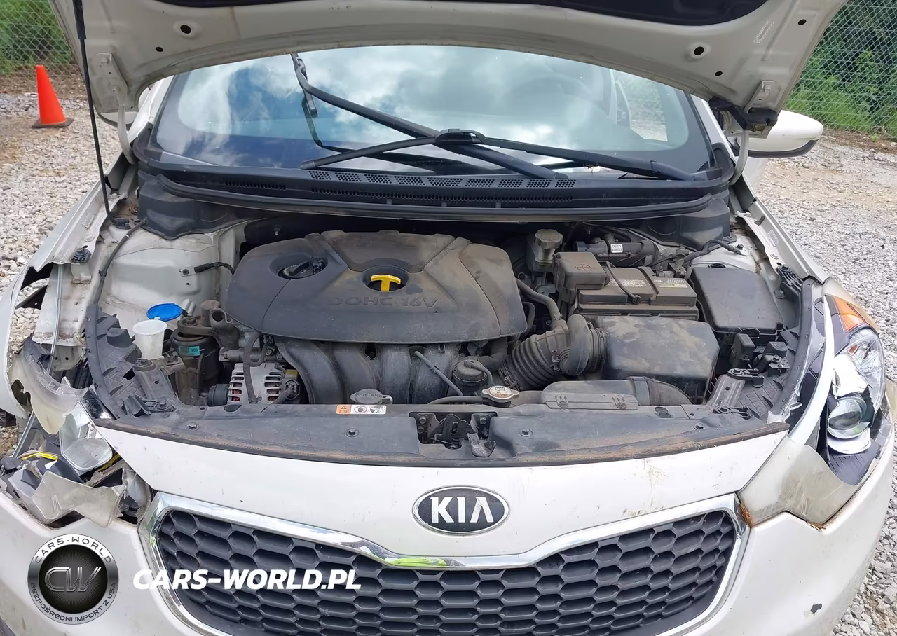 2015 Kia Forte Lx VIN:KNAFK4A69F5265927 - 10